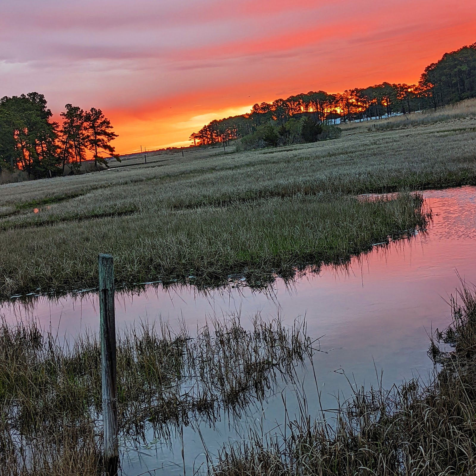 Lay of the Land Are you new to Chincoteague Island? Chincoteague Resort